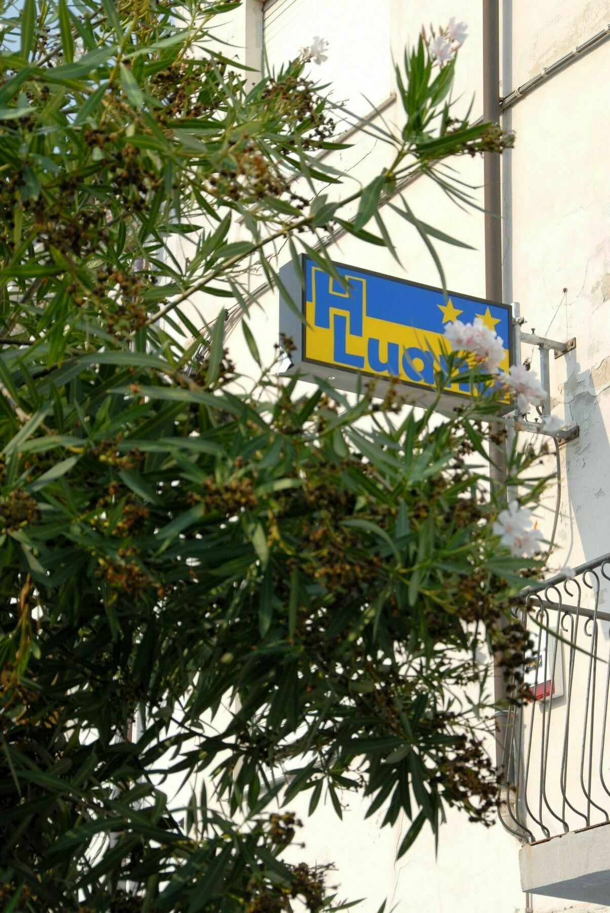 Hotel Luana فياريجيو المظهر الخارجي الصورة